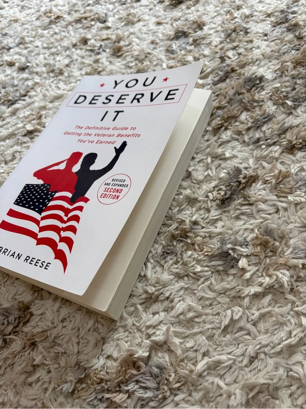 You Deserve It by Brian Reese - White Cover with Red & Blue Graphics